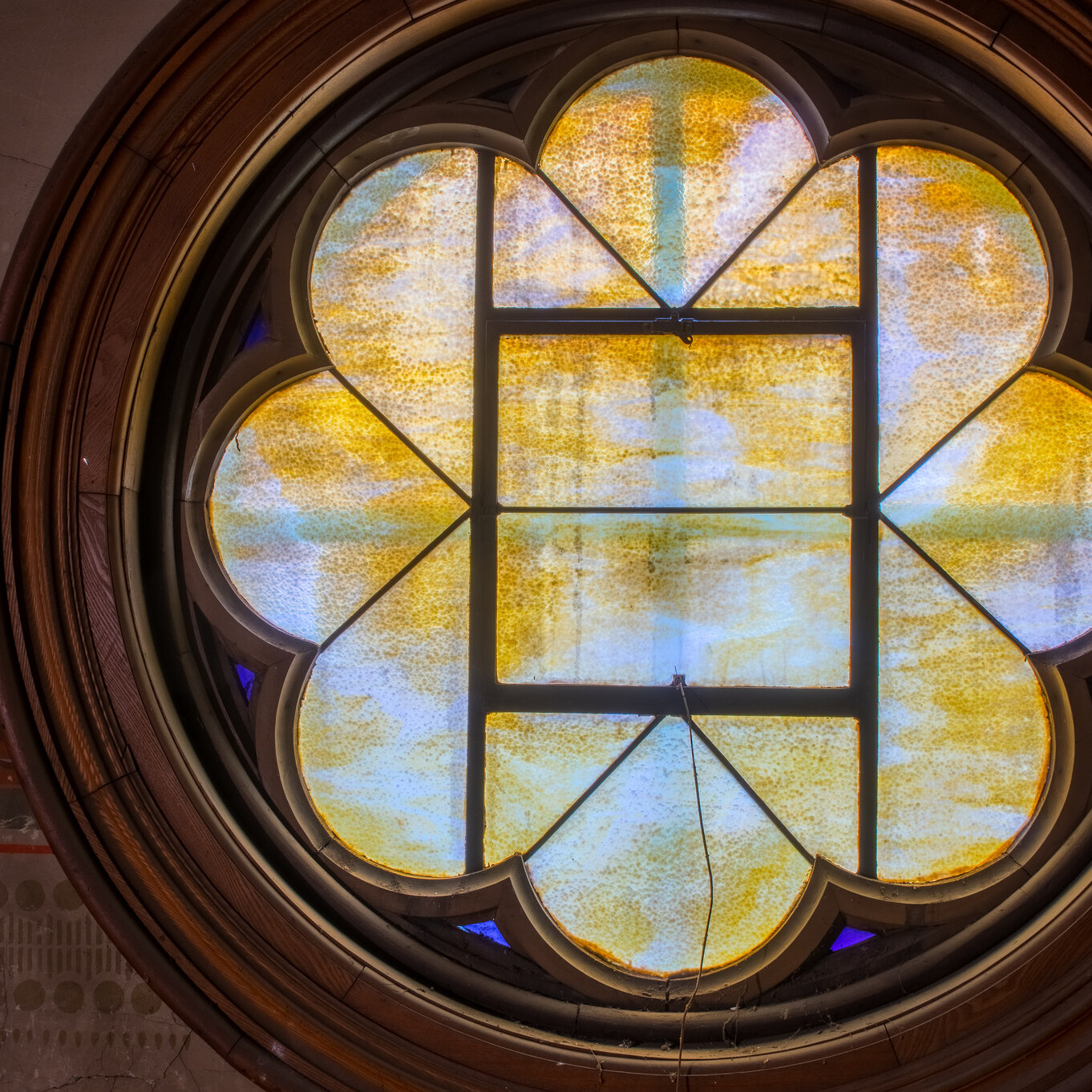 24057339765 78b6f2e8cf k