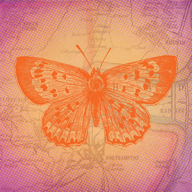 CitySpace Presents website square