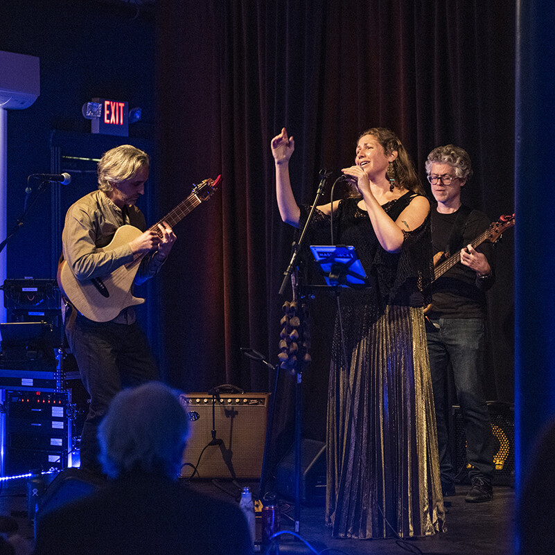 a performance on stage in the Blue Room